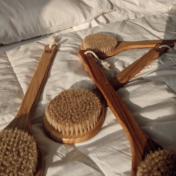 Bamboo Dry Brushes - Picture 2 of 4